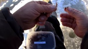 Первая рыбалка на речке зимой 2022-2023! Первый лед