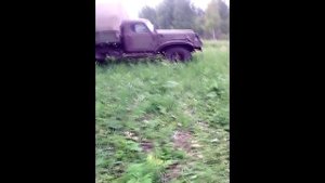 Пчелы на кочёвке в лесу.