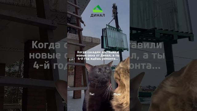 Надеемся, что для вас не «жиза» и вы "те самые соседи" с новыми окнами от Динал! #окнапвх #юмор