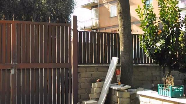 Trial uno смотреть онлайн