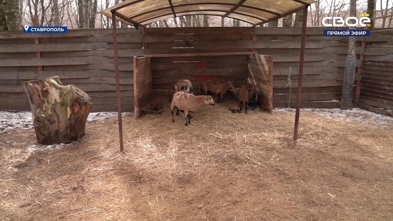 Новости на Своём от 01 марта 2024г. 10:30