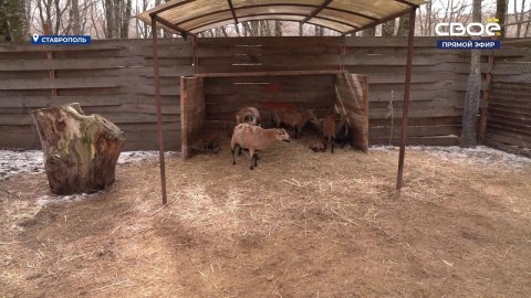 Новости на Своём от 01 марта 2024г. 10:30