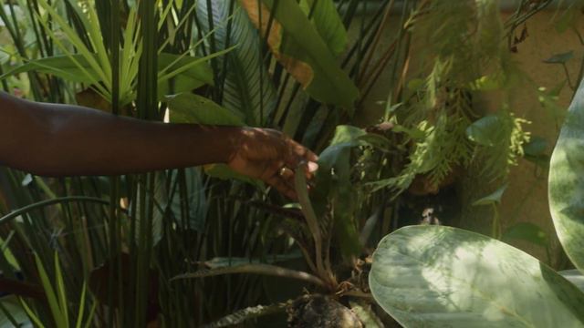 How to plant a garden in any space: My jungle on concrete tour смотреть онлайн