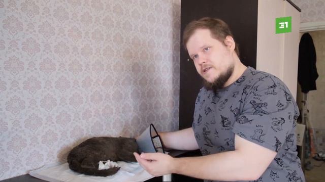 Паленая шерсть и обожженные лапки. Волонтеры выхаживают кошек, обгоревших в курганских пожарах смотреть онлайн