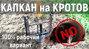 Капкан на кротов, 100% рабочий. своими руками