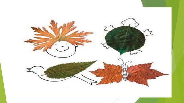 Gerbariy tayyorlash смотреть онлайн