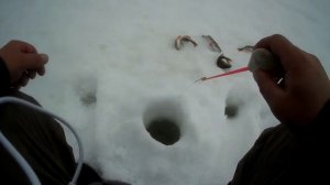 Рыбалка на реке Тасеева