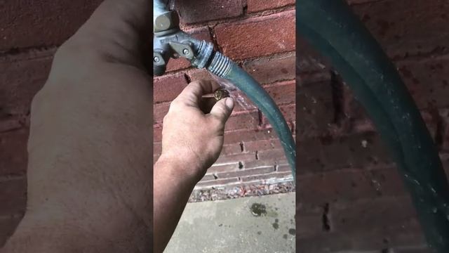 My first Button Whites Treasure Pro смотреть онлайн