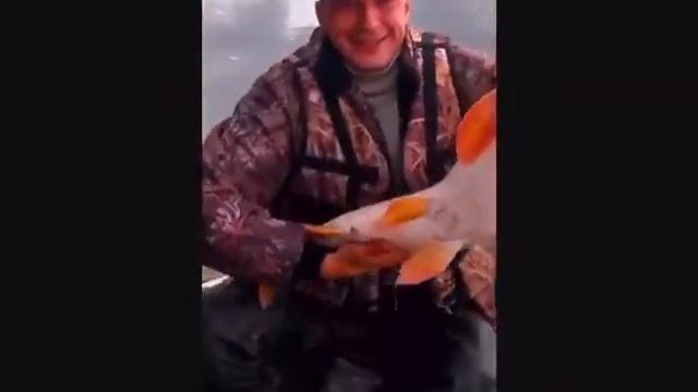 Подарок рыбаку.песня смотреть онлайн