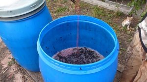 Девочка спит/Молдова сбор винограда и приготовление вина?/ Ливень?☔/Красивое небо,после ливня.