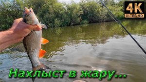 Нахлыст в жару.