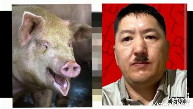 и снова Назгуль призывает к свержению конституционного строя. КНБ РК возьмите на заметку смотреть онлайн