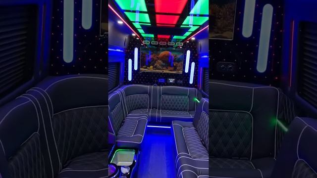 2020 Transit limo 13 pax rear