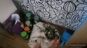 ОГУРЦЫ С СУХОЙ ГОРЧИЦЕЙ ПРОСТОЙ РЕЦЕПТ.