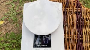 Абрикос В ТУЛЕ. Сорт абрикоса «ЦАРСКИЙ»