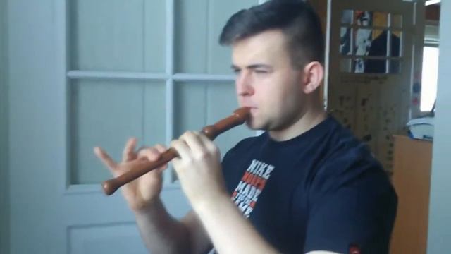 POLSKI REMIX FL STUDIO X FLET смотреть онлайн