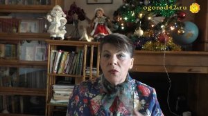 Могут ли садоводам запретить выращивание овощей на своих участках?