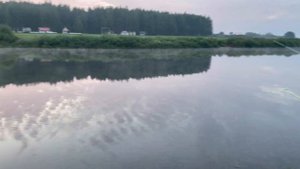 Река Сосна погнали на рыбалку