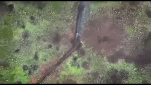 Блогера Некоглая задержали в Москве