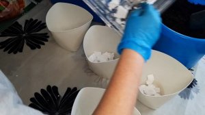 Пересадка сансиверии. Лайфхак с дренажом.