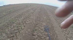 Коп на месте старой ярмарки.