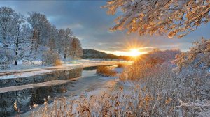 Солнечные люди.