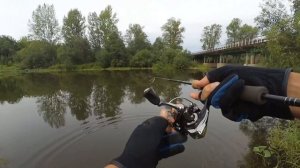 Mepps Syclops Tiger №0 Два дня рыбачил на колебалку))