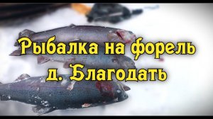 Зимняя рыбалка на форель деревня Благодать