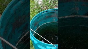 Обзор подводной лодки на радиоуправлении.