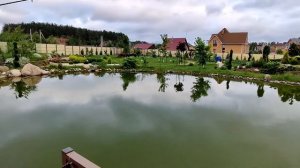 Рыбалка в своем пруду. Поймал КАРПА в своем пруду на кукурузу. Интересная рыбалка и рыба к столу.