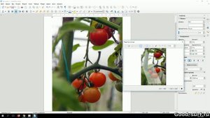 Вставляем изображение в произвольной форме в LibreOffice Writer