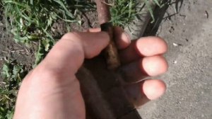 Что можно найти под окнами и балконами жилых домов