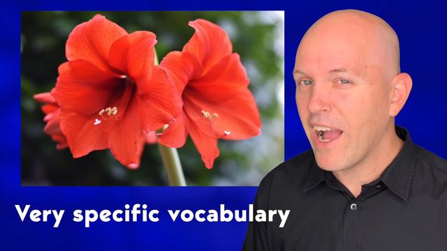 Learn American English with Reese Witherspoon смотреть онлайн