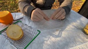 Кормушка для птиц своими руками из АПЕЛЬСИНА?эко-кормушка,поделка для детей