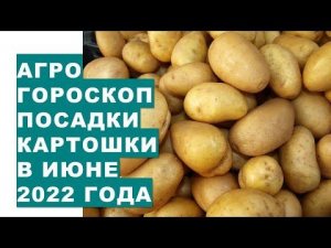 Агрогороскоп посадки картошки в июне 2022 года