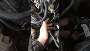 не заводится 3sfe Toyota Carina. не срабатывают форсунки.