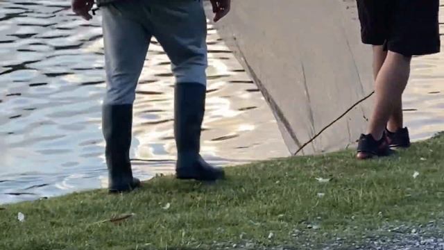 RIVER THAMES / WALTON ON THAMES смотреть онлайн