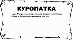 КУРОПАТКА - что это такое? значение и описание