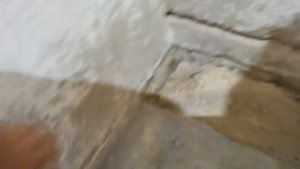 Отличный способ избавиться от плесени в углах