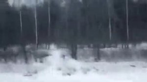 Сергей Наговицын- До свиданья, кореша (Видео по мотивам фильма )