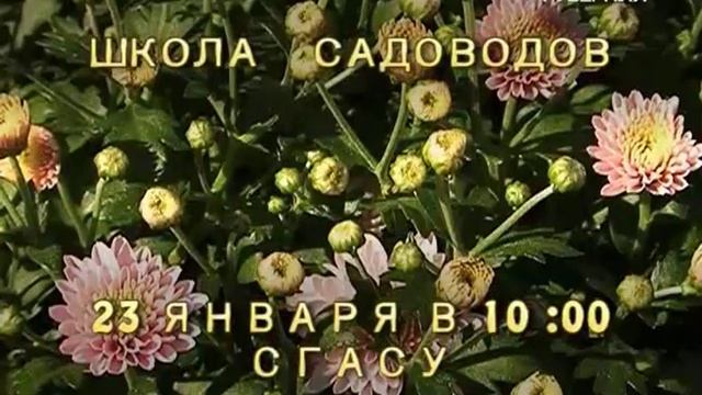 Завтра в Самаре стартует масштабный проект "Школа садоводов"