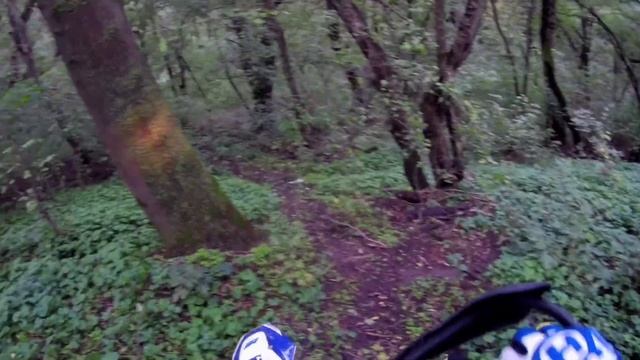 Утренняя разминка после дождя. Лесхоз эндуро. смотреть онлайн