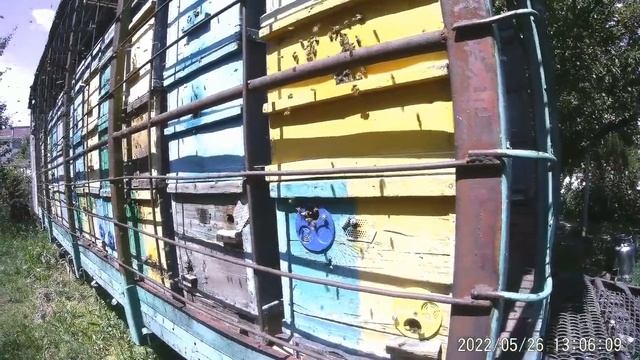 Ошибки при создании медовиков.Белая акация, технология работает смотреть онлайн