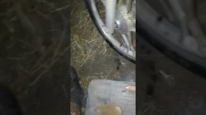 Что же делать со ржавчиной на мопеде Альфа,Дельта и Т.П.