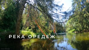 Река Оредеж. Ленинградская область (лето)