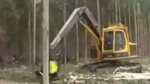 Новая лесопилка