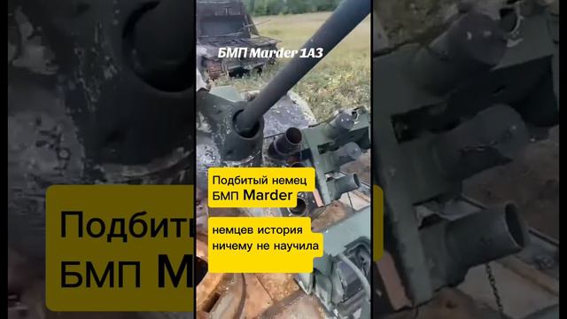 Немец БМП Marder. Сожгли в полях у Курска