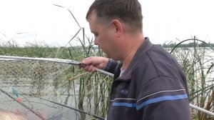 Рыбалка на Карпа! Ловля Супер Трофеев на Болонскую удочку! "телескопичку"