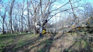 Бензопила Калибр БП 1500 14У обзор и тест