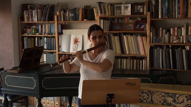 G. Ph. Telemann - Fantasia VIII in e minor for solo flute - TWV 40:9 3.mov смотреть онлайн